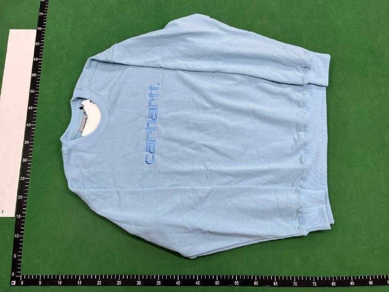 carhatt hoodie(40 CP)