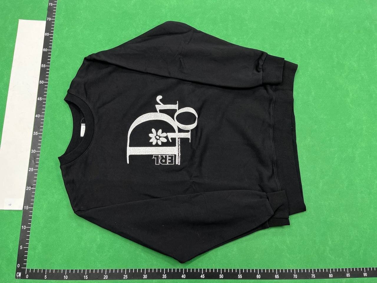  dior hoodie(30 CP)