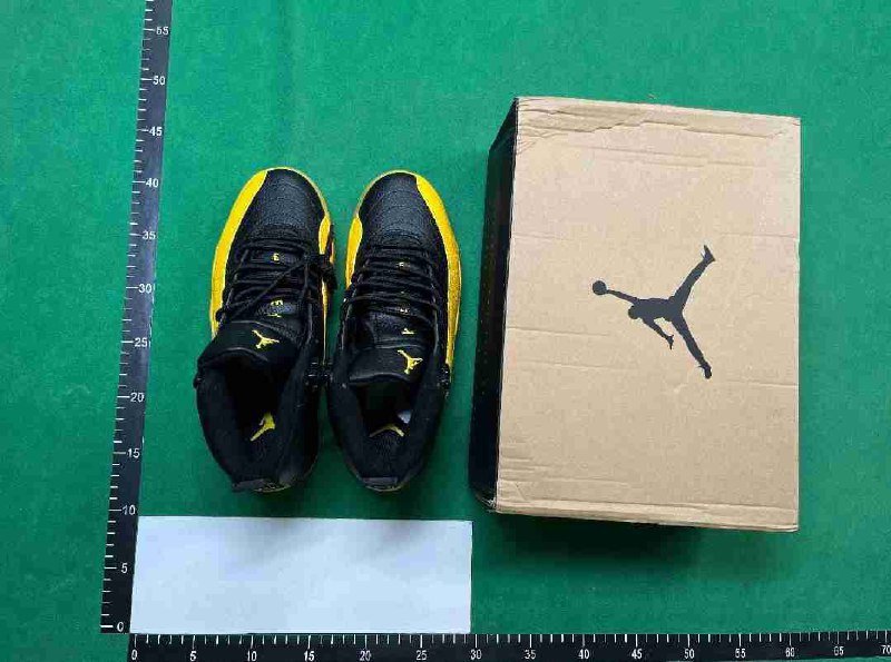 jordan 12  [25 Colors]