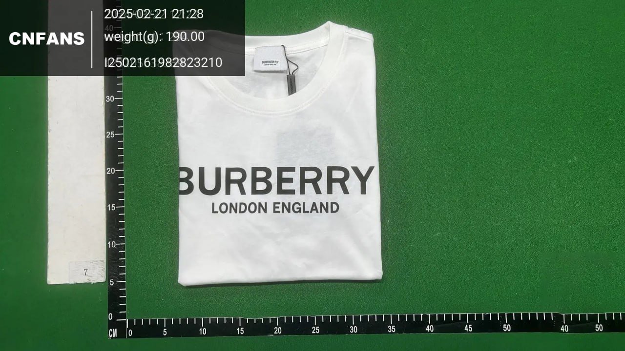  Burberry T-shirt tee  (30+)