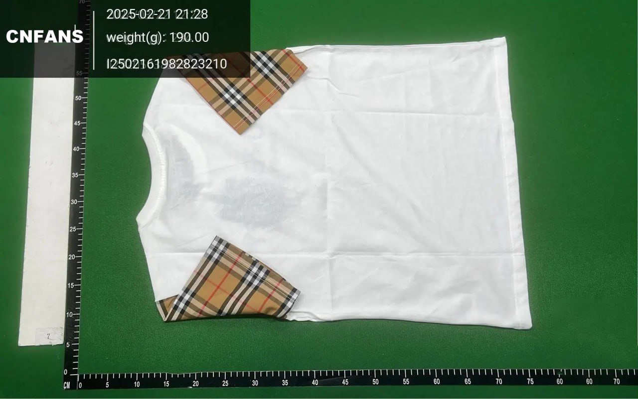  Burberry T-shirt tee  (30+)