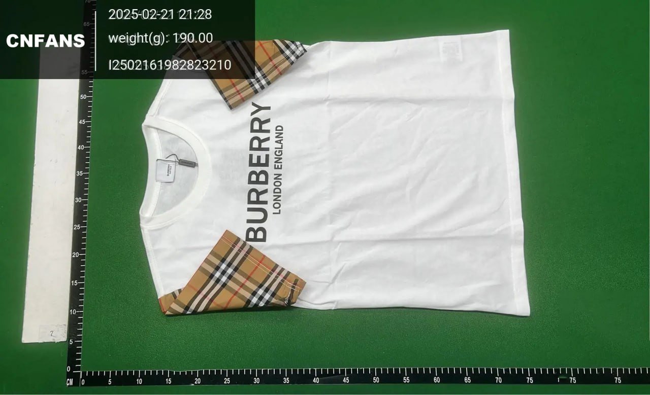  Burberry T-shirt tee  (30+)