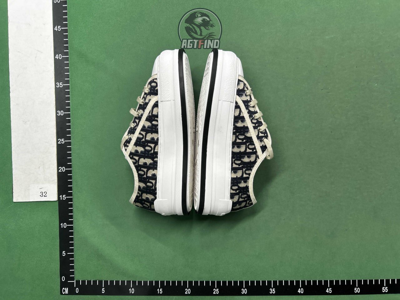 Dior Walk'n'Dior Shoes