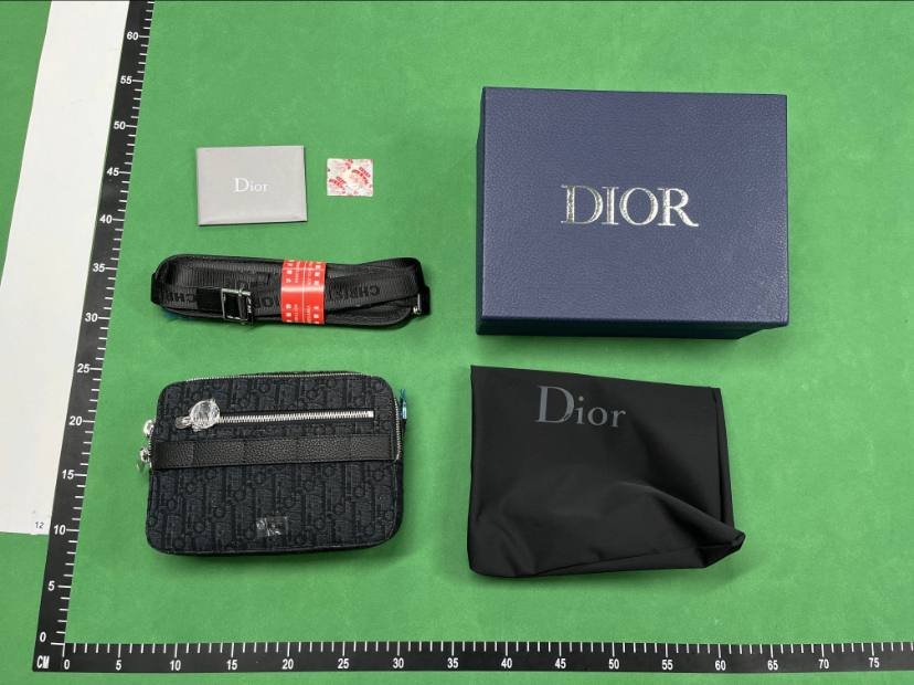 Dior camera bag