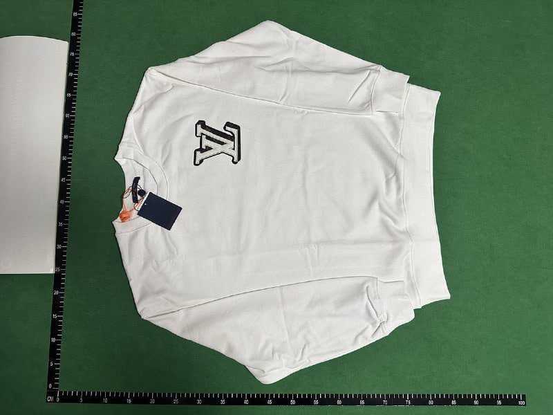 Louis Vuitton sweatshirt