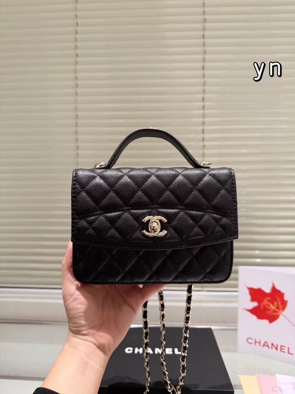 Chanel bag