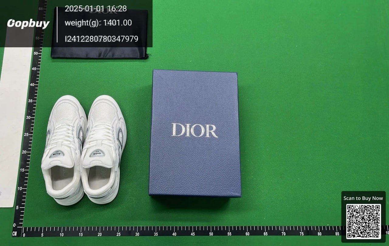 Dior B30 Sneakers Shoes  （30+
