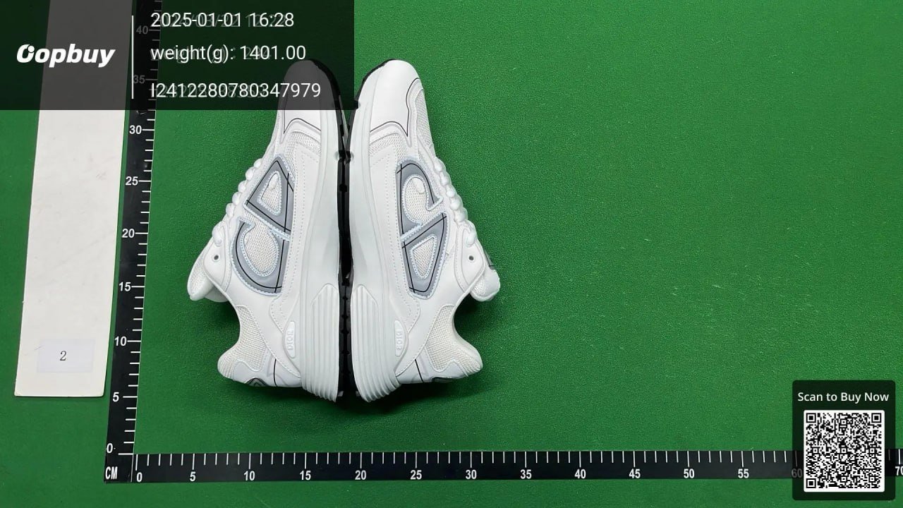Dior B30 Sneakers Shoes  （30+