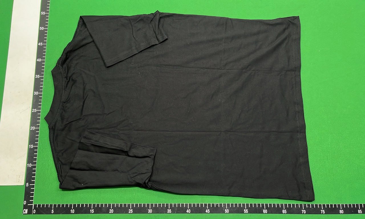 Scorpion Graphic T-Shirt